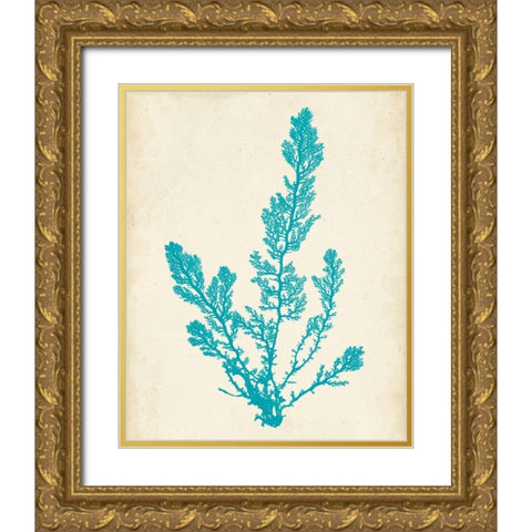 Aquamarine Seaweed VI Gold Ornate Wood Framed Art Print with Double Matting by Vision Studio
