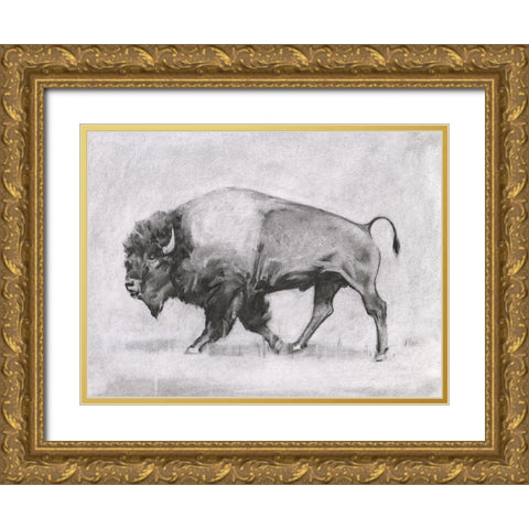 Wild Bison Study II Gold Ornate Wood Framed Art Print with Double Matting by Scarvey, Emma