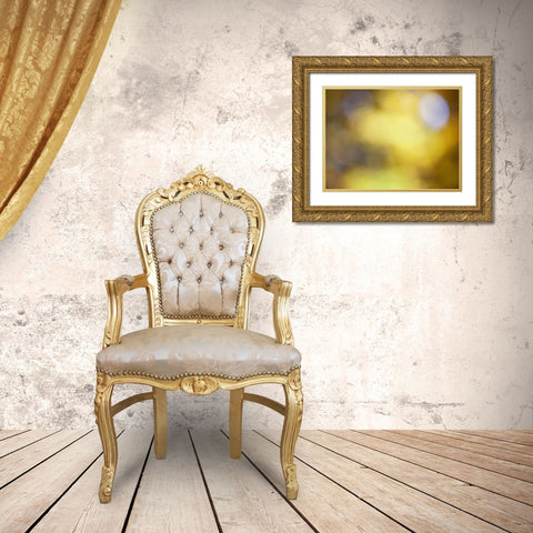 Soft Landscape IV Gold Ornate Wood Framed Art Print with Double Matting by McLoughlin, James
