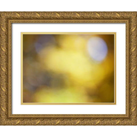 Soft Landscape IV Gold Ornate Wood Framed Art Print with Double Matting by McLoughlin, James