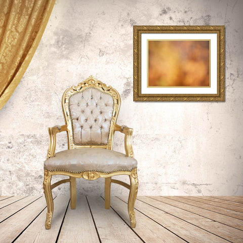 Soft Landscape V Gold Ornate Wood Framed Art Print with Double Matting by McLoughlin, James