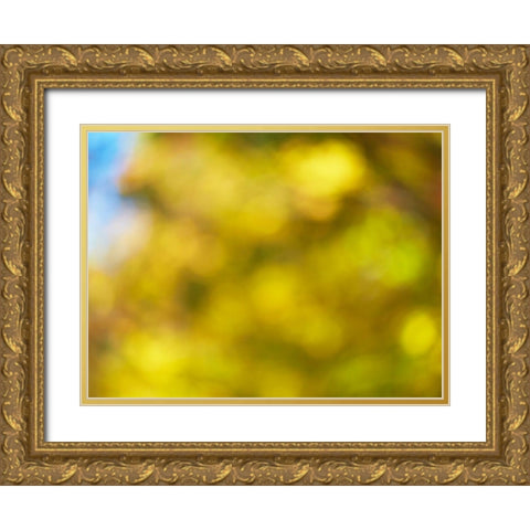 Soft Landscape VI Gold Ornate Wood Framed Art Print with Double Matting by McLoughlin, James