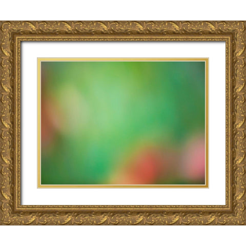 Soft Landscape VIII Gold Ornate Wood Framed Art Print with Double Matting by McLoughlin, James