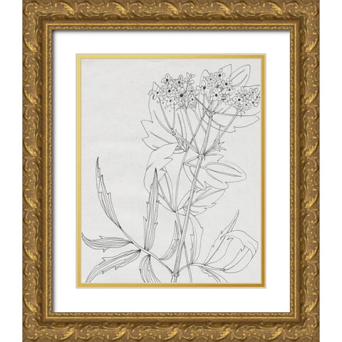 Wild Blossoms II Gold Ornate Wood Framed Art Print with Double Matting by Wang, Melissa