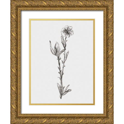 Stem Still Life I Gold Ornate Wood Framed Art Print with Double Matting by Wang, Melissa