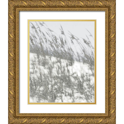 Lush Dunes III Gold Ornate Wood Framed Art Print with Double Matting by Chandler, Sharon