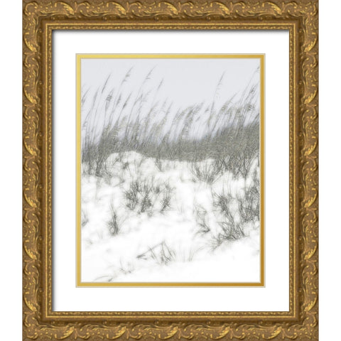 Lush Dunes V Gold Ornate Wood Framed Art Print with Double Matting by Chandler, Sharon
