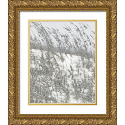Lush Dunes VI Gold Ornate Wood Framed Art Print with Double Matting by Chandler, Sharon