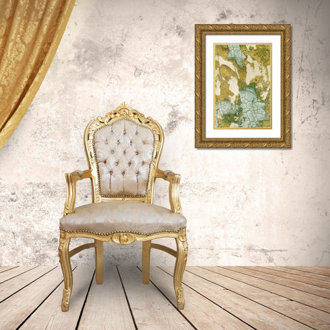 Biomes I Gold Ornate Wood Framed Art Print with Double Matting by Lam, Vanna
