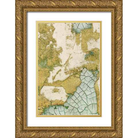 Biomes II Gold Ornate Wood Framed Art Print with Double Matting by Lam, Vanna