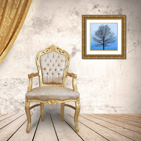 November Tree Gold Ornate Wood Framed Art Print with Double Matting by McLoughlin, James