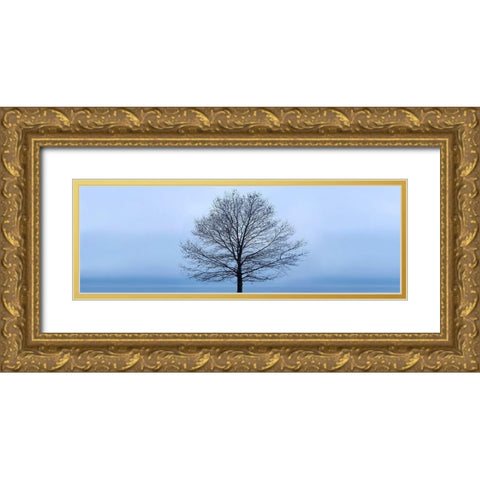 Tree Panorama VI Gold Ornate Wood Framed Art Print with Double Matting by McLoughlin, James