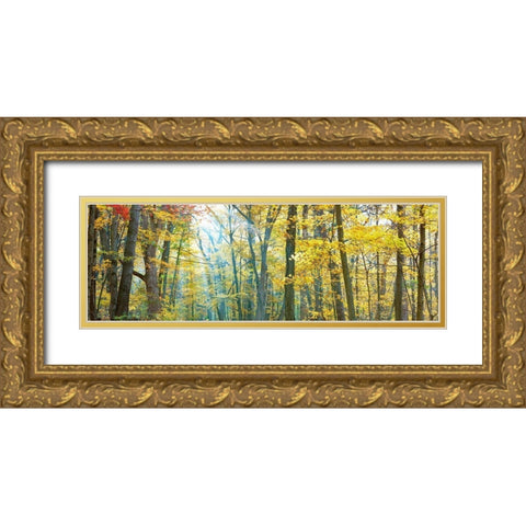 Tree Panorama VIII Gold Ornate Wood Framed Art Print with Double Matting by McLoughlin, James