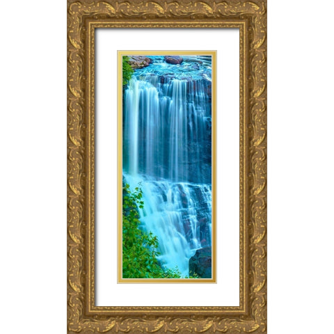 Vertical Water I Gold Ornate Wood Framed Art Print with Double Matting by McLoughlin, James