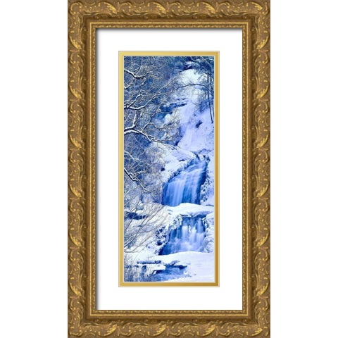 Vertical Water IV Gold Ornate Wood Framed Art Print with Double Matting by McLoughlin, James