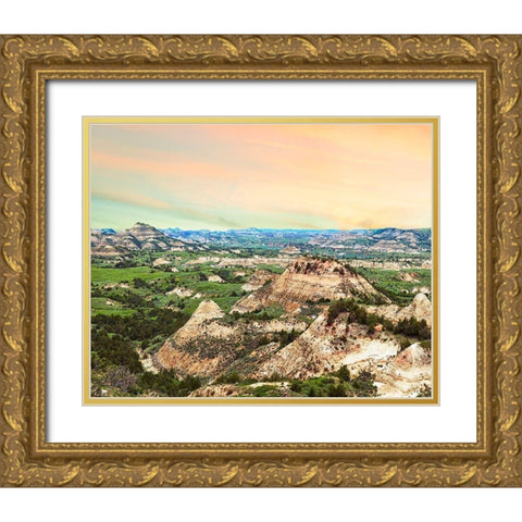 Badlands V Gold Ornate Wood Framed Art Print with Double Matting by McLoughlin, James
