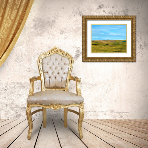 Western Landscape Photo III Gold Ornate Wood Framed Art Print with Double Matting by McLoughlin, James