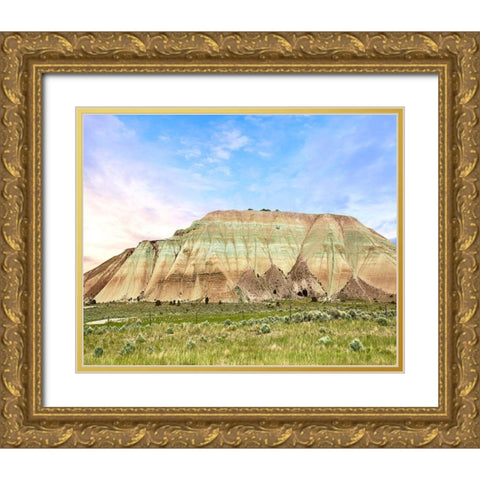 Western Landscape Photo IV Gold Ornate Wood Framed Art Print with Double Matting by McLoughlin, James