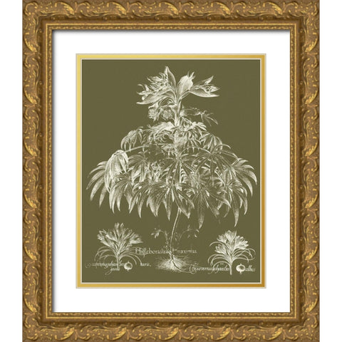 Custom Delicate Besler Botanical I Gold Ornate Wood Framed Art Print with Double Matting by Vision Studio