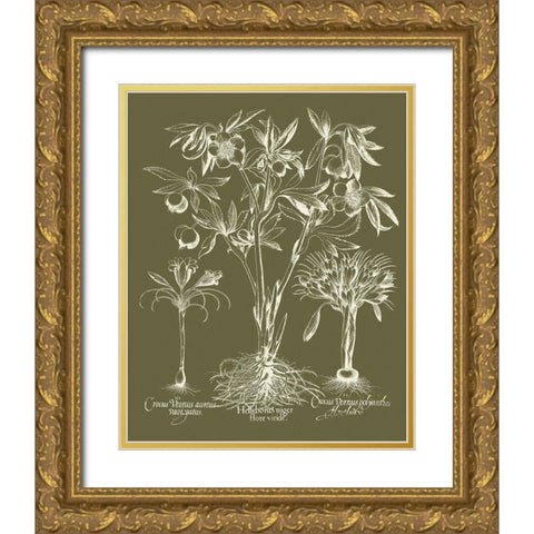 Custom Delicate Besler Botanical II Gold Ornate Wood Framed Art Print with Double Matting by Vision Studio