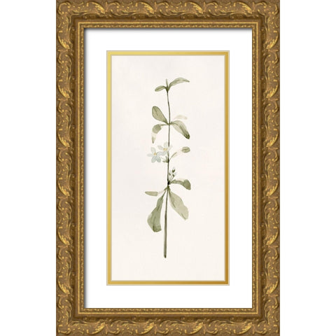 Early Blooms I Gold Ornate Wood Framed Art Print with Double Matting by Caroline, Emma