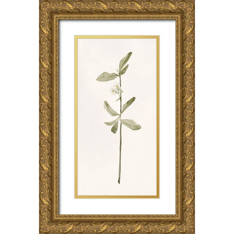 Early Blooms II Gold Ornate Wood Framed Art Print with Double Matting by Caroline, Emma