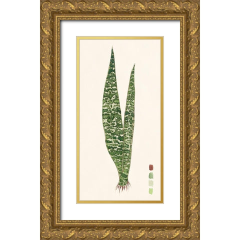 Snake Plants IV Gold Ornate Wood Framed Art Print with Double Matting by Wang, Melissa