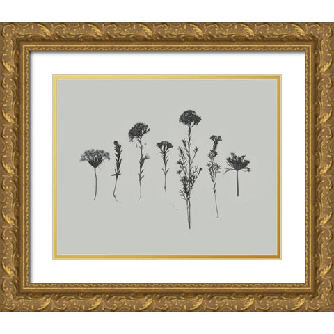Wildflower Memory II Gold Ornate Wood Framed Art Print with Double Matting by Goldberger, Jennifer