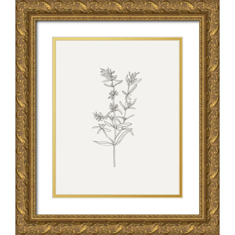 Wild Foliage Sketch I Gold Ornate Wood Framed Art Print with Double Matting by Borges, Victoria
