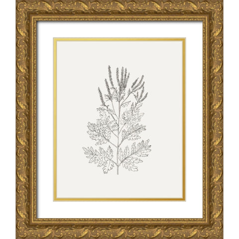 Wild Foliage Sketch II Gold Ornate Wood Framed Art Print with Double Matting by Borges, Victoria