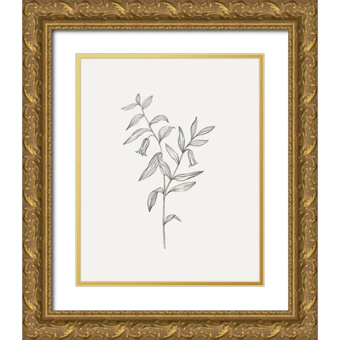 Wild Foliage Sketch IV Gold Ornate Wood Framed Art Print with Double Matting by Borges, Victoria