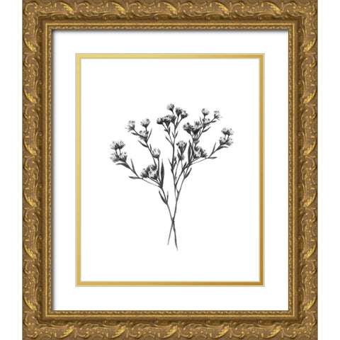 Wild Thistle Bundle II Gold Ornate Wood Framed Art Print with Double Matting by Scarvey, Emma