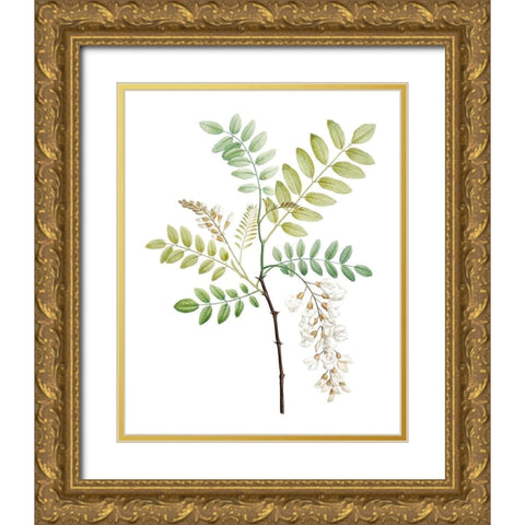 Soft Green Botanical I Gold Ornate Wood Framed Art Print with Double Matting by Vision Studio