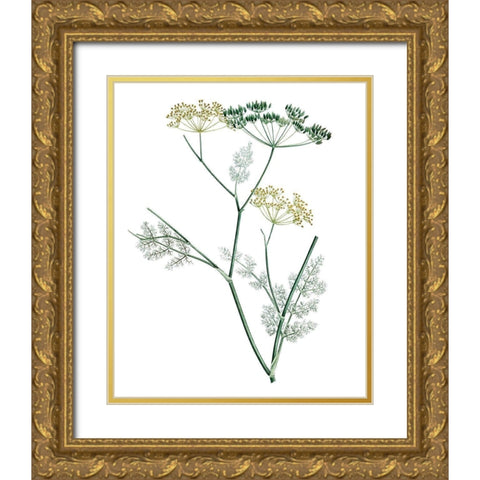 Soft Green Botanical IV Gold Ornate Wood Framed Art Print with Double Matting by Vision Studio