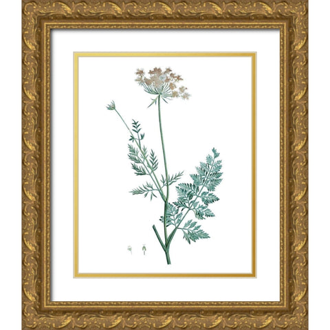 Soft Green Botanical V Gold Ornate Wood Framed Art Print with Double Matting by Vision Studio