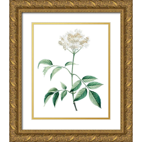 Soft Green Botanical VI Gold Ornate Wood Framed Art Print with Double Matting by Vision Studio