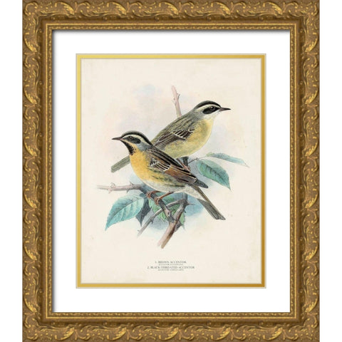 Antique Birds I Gold Ornate Wood Framed Art Print with Double Matting by Unknown