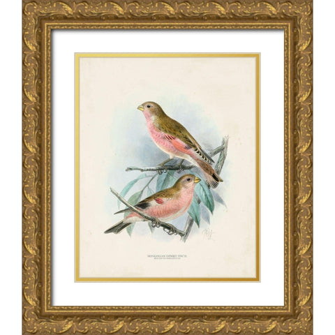 Antique Birds IV Gold Ornate Wood Framed Art Print with Double Matting by Unknown