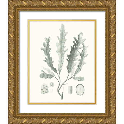 Sage Green Seaweed I Gold Ornate Wood Framed Art Print with Double Matting by Vision Studio