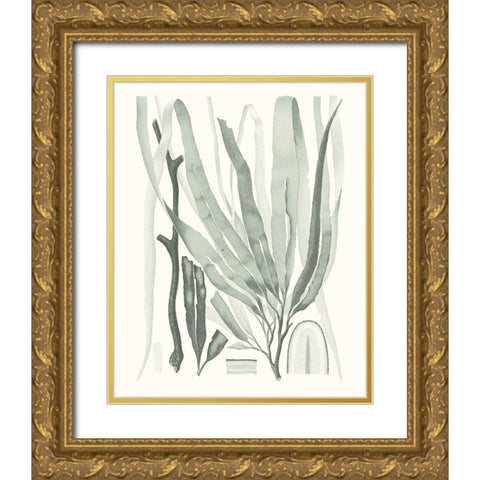 Sage Green Seaweed II Gold Ornate Wood Framed Art Print with Double Matting by Vision Studio