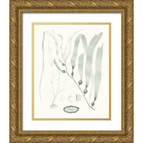 Sage Green Seaweed III Gold Ornate Wood Framed Art Print with Double Matting by Vision Studio