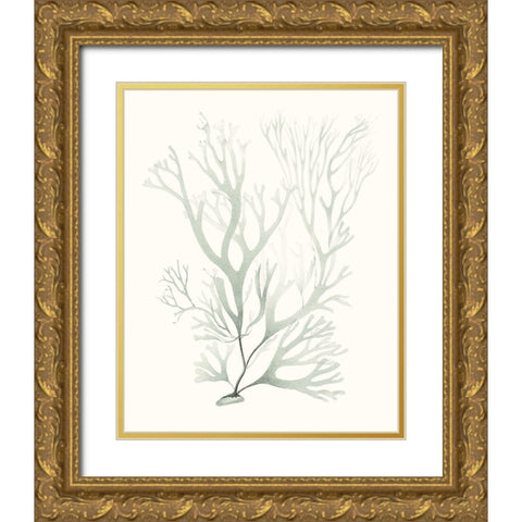 Sage Green Seaweed V Gold Ornate Wood Framed Art Print with Double Matting by Vision Studio