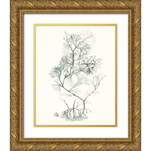 Sage Green Seaweed VI Gold Ornate Wood Framed Art Print with Double Matting by Vision Studio