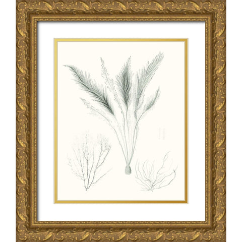 Sage Green Seaweed VIII Gold Ornate Wood Framed Art Print with Double Matting by Vision Studio