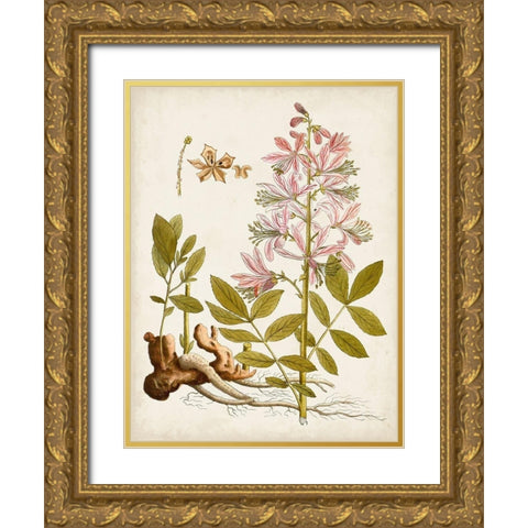 Vintage Charm II Gold Ornate Wood Framed Art Print with Double Matting by Vision Studio
