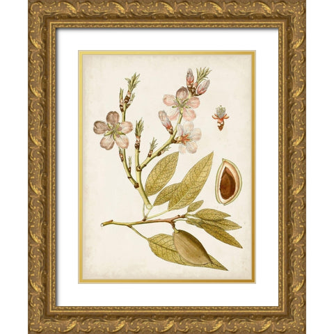 Vintage Charm IV Gold Ornate Wood Framed Art Print with Double Matting by Vision Studio