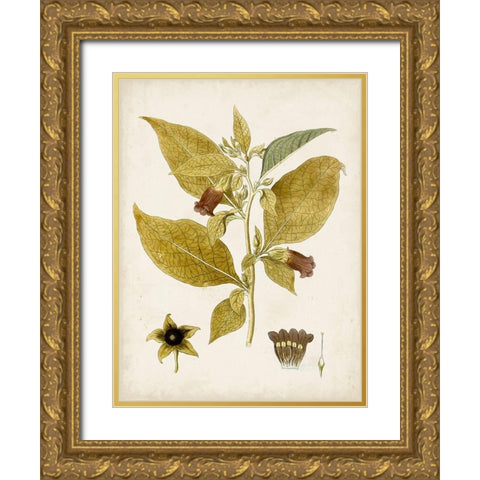 Vintage Charm VI Gold Ornate Wood Framed Art Print with Double Matting by Vision Studio