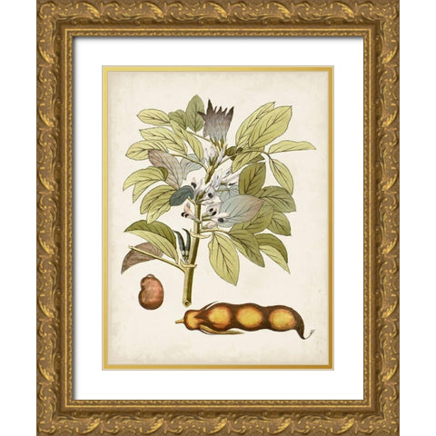 Vintage Charm VIII Gold Ornate Wood Framed Art Print with Double Matting by Vision Studio