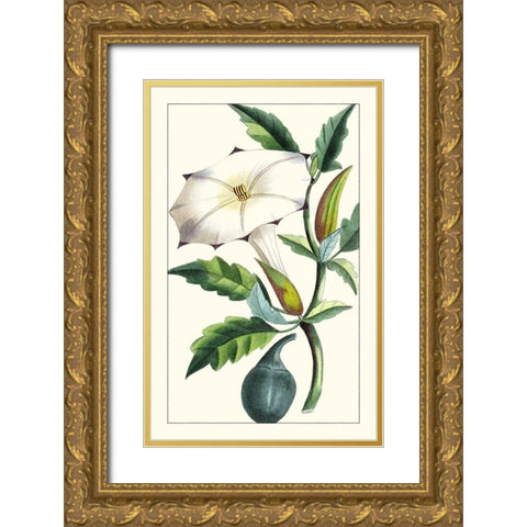 Turpin Exotic Botanical I Gold Ornate Wood Framed Art Print with Double Matting by Turpin