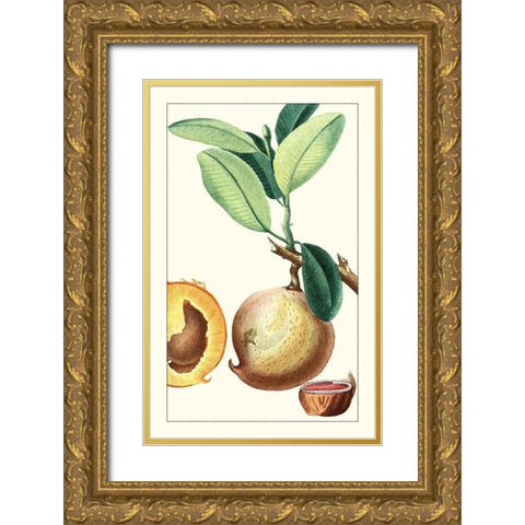 Turpin Exotic Botanical II Gold Ornate Wood Framed Art Print with Double Matting by Turpin